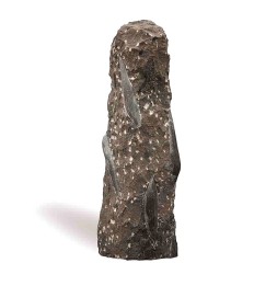 80cm Obelisk Fossil Black...