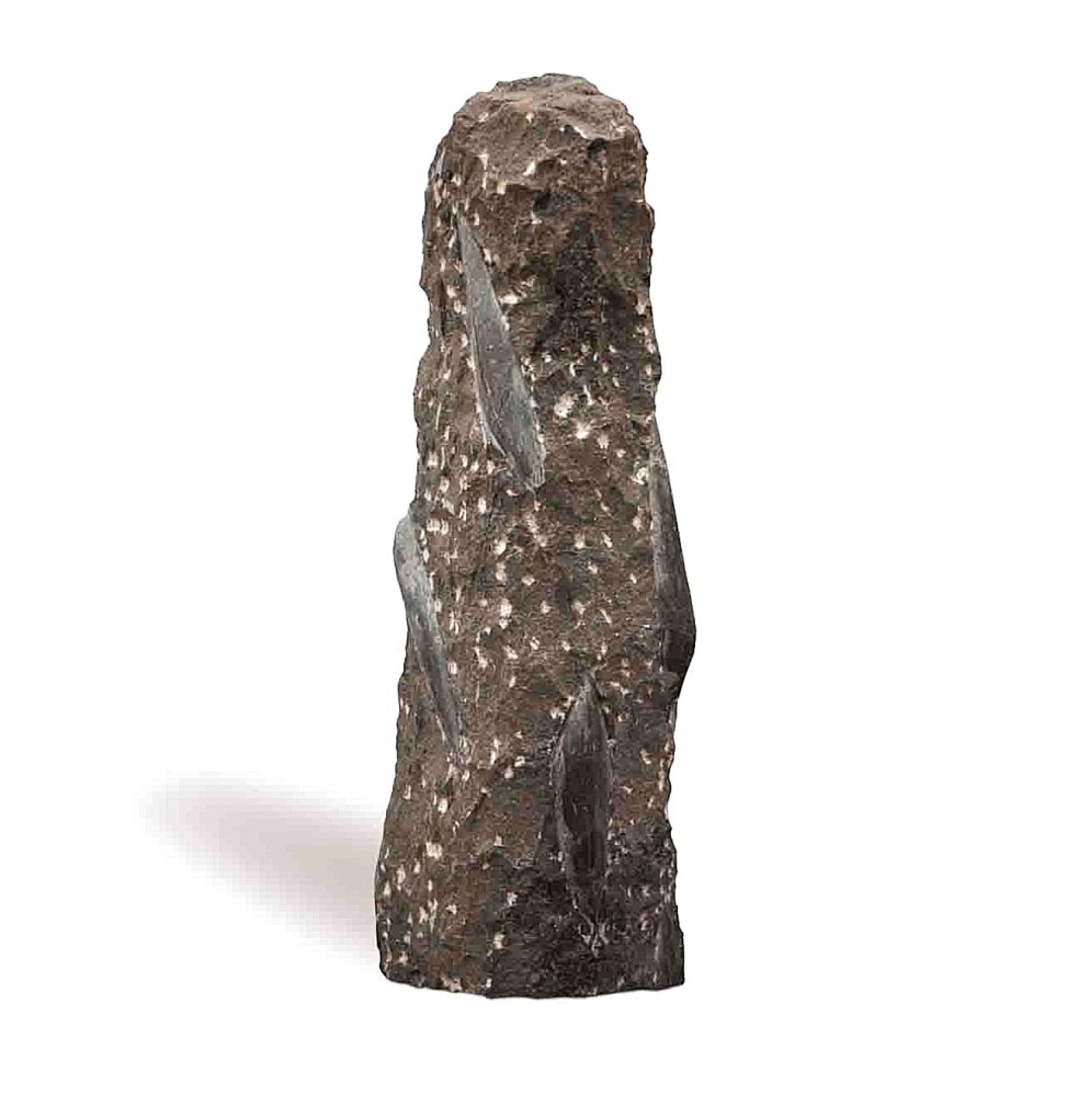 80cm Obelisk Fossil Black Monolithe pointu
