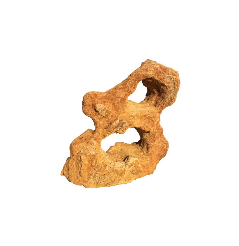 1500-2500Kg Esemplare Spugna forato Monolithe exemplaire unique