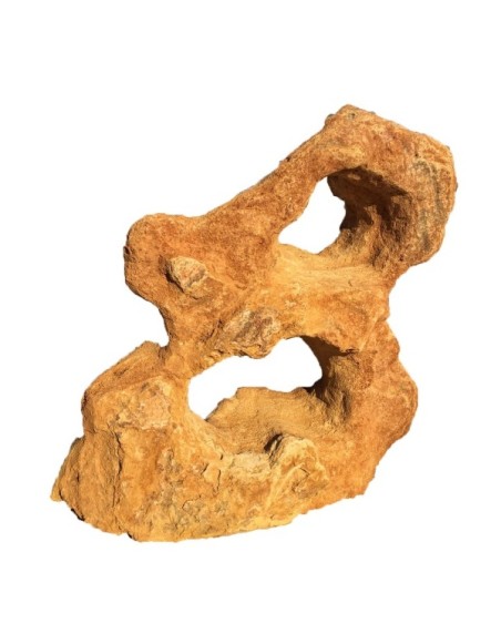 1500-2500Kg Esemplare Spugna forato Monolithe exemplaire unique