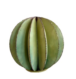 Cactus boule sculpture...