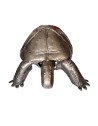 Tortue sculpture métallique 150x105x50cm
