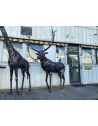 Cerf sculpture métallique 270x200x150cm