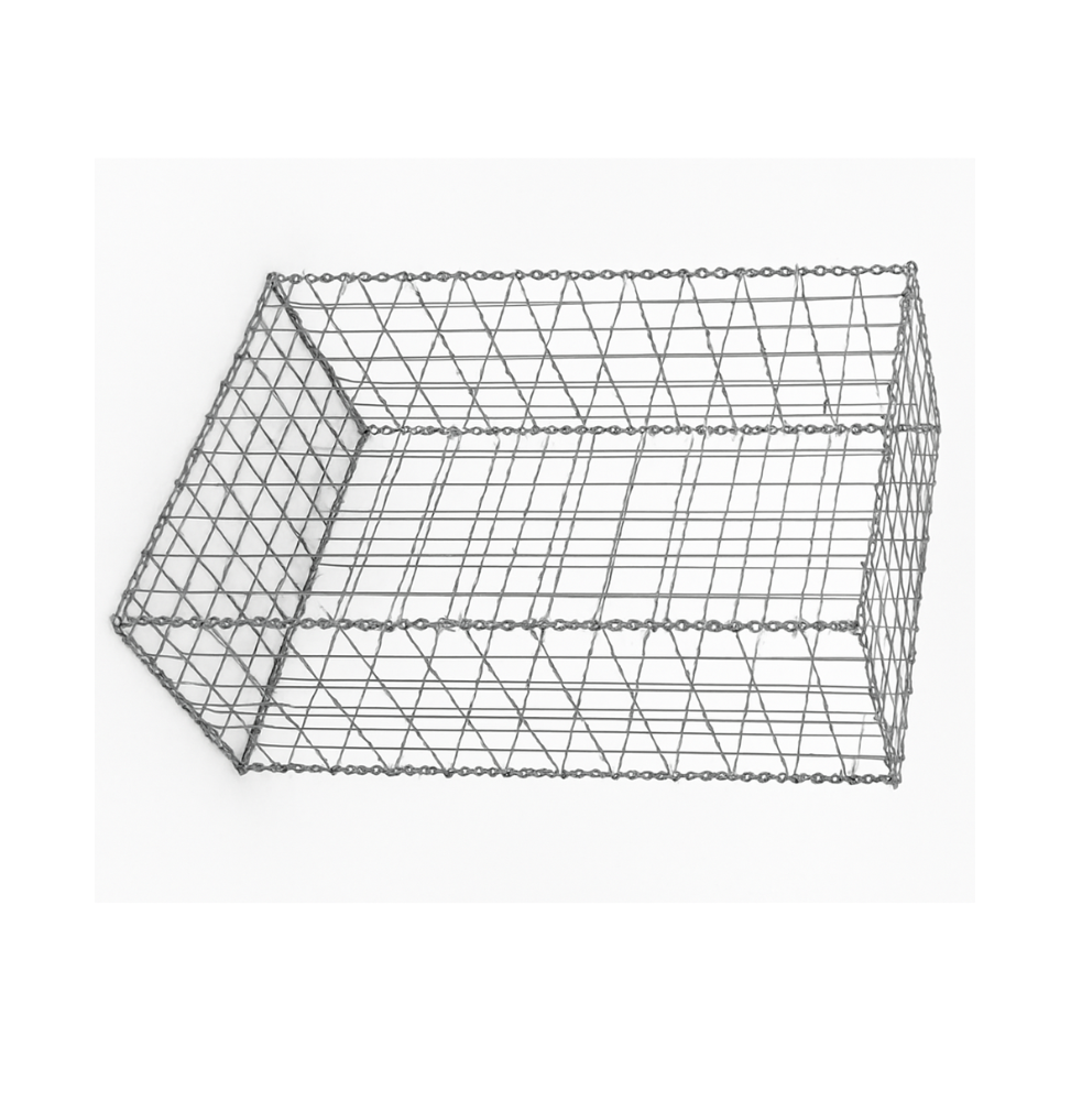 Gabion 100x50x100 cm (vide)