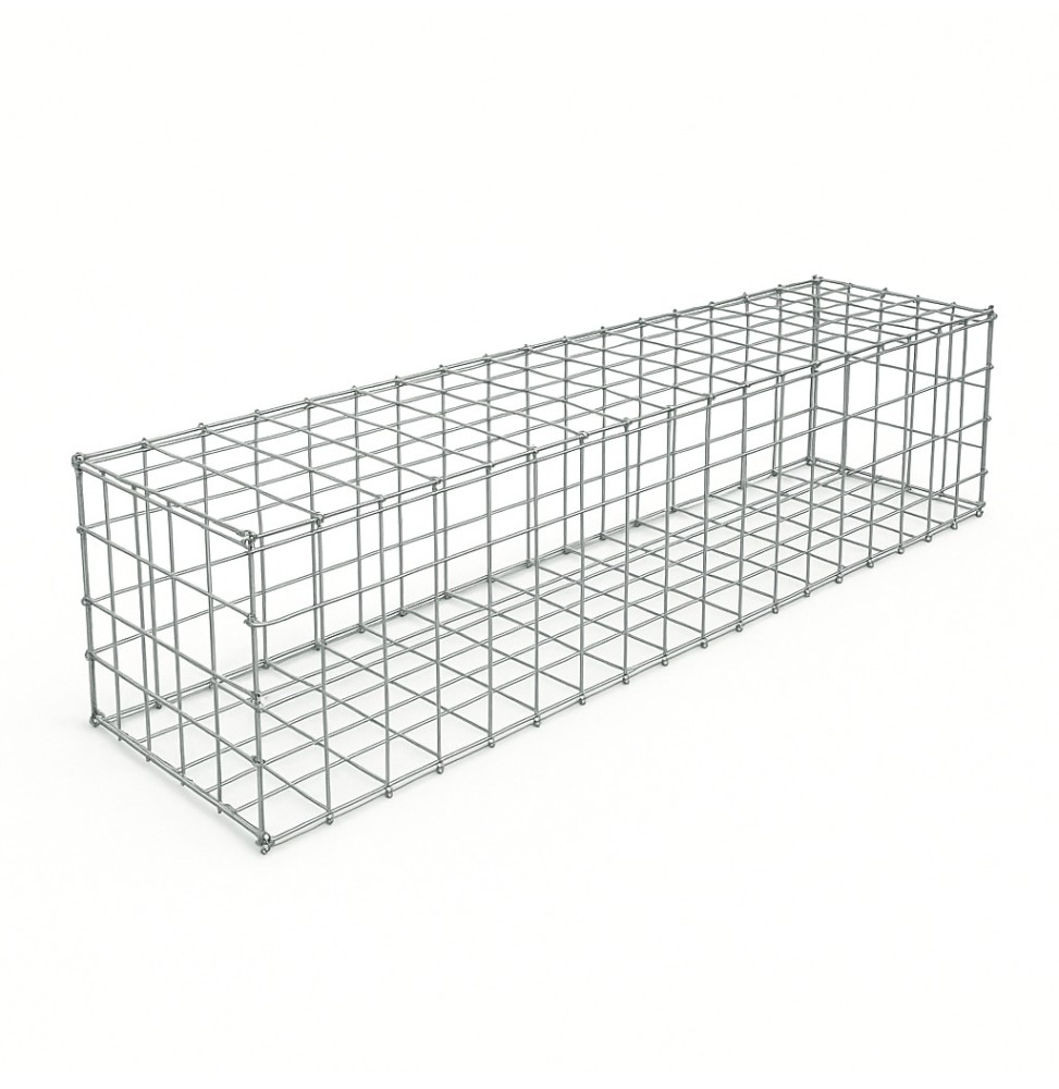 Gabion 200x50x50 cm (vide)
