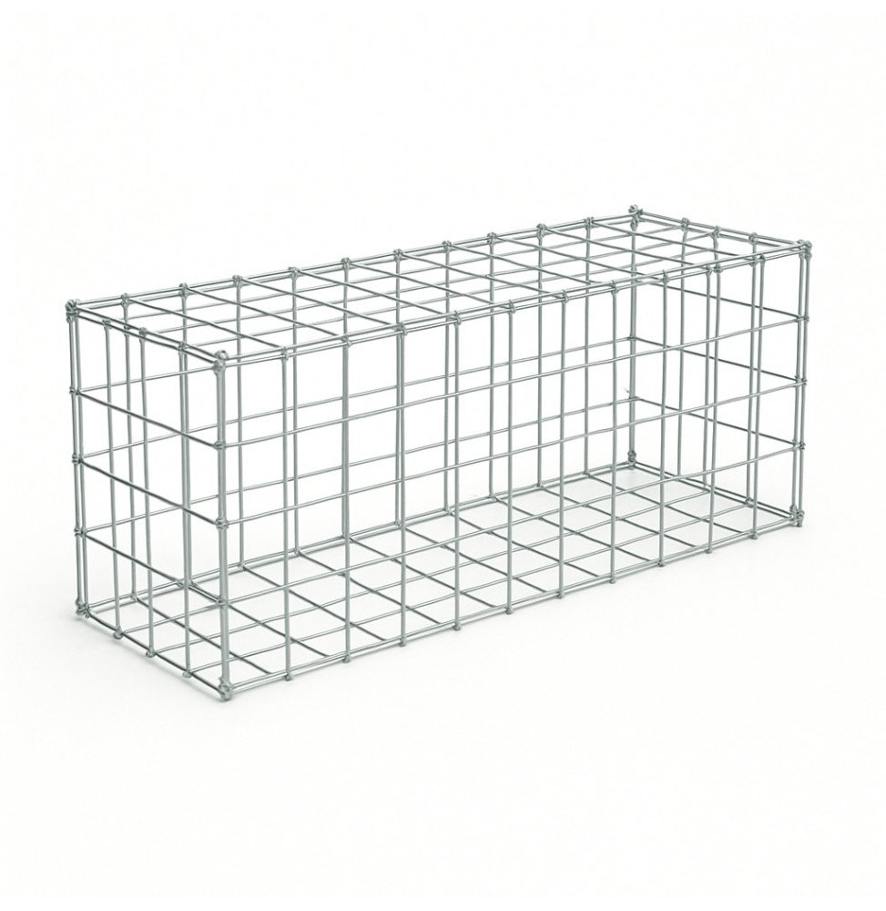 Gabion 100x25x50 cm (vide)
