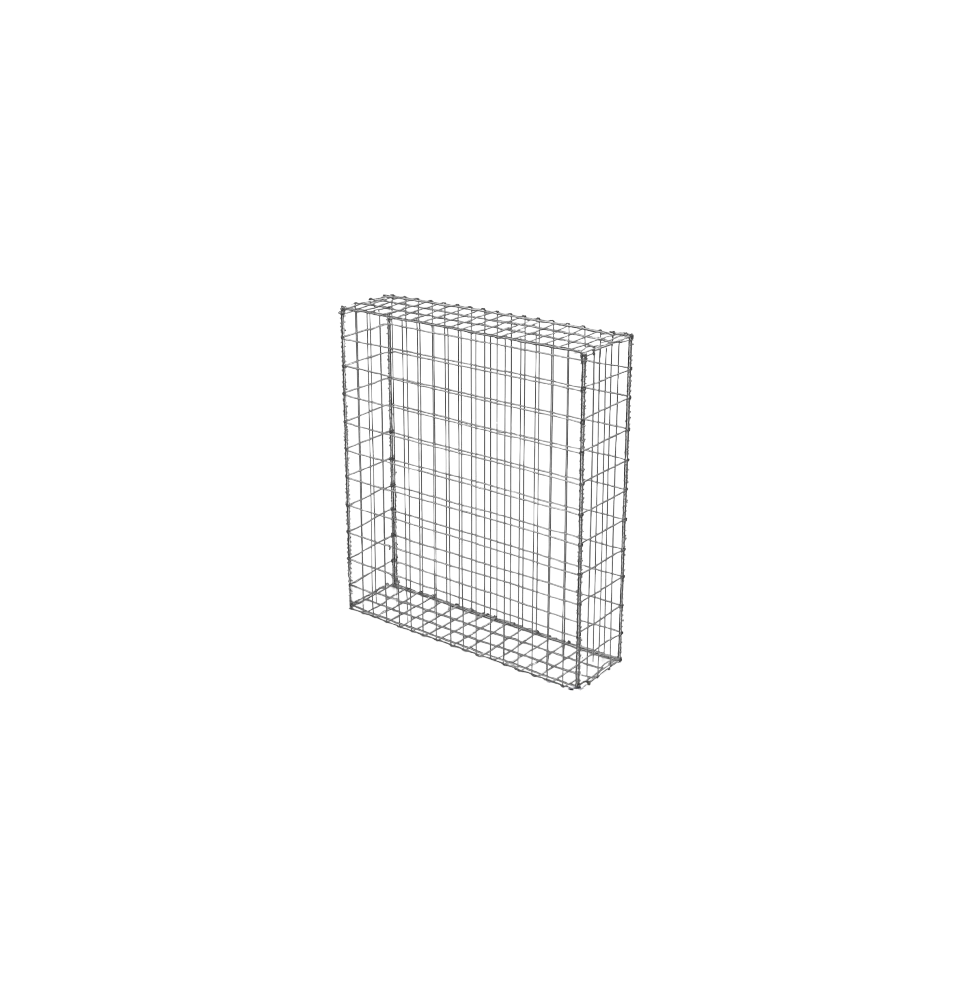 Gabion 100x25x100 cm (vide)