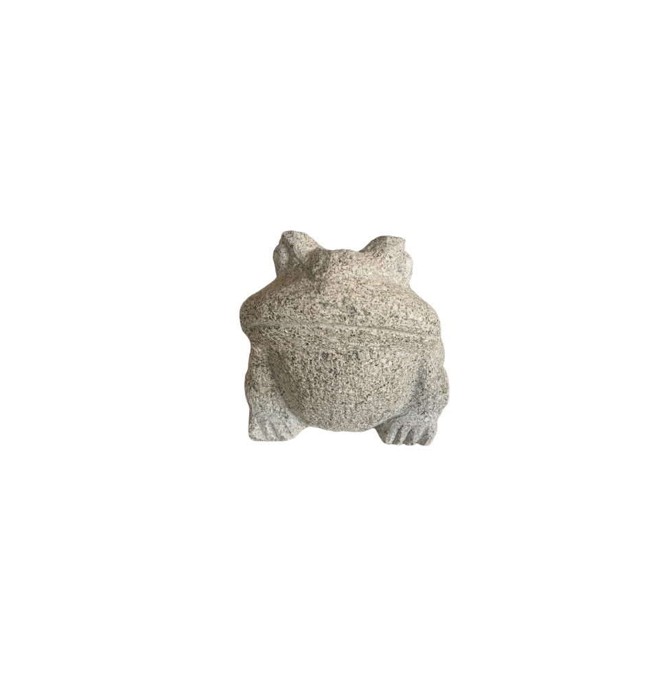 Grenouille 20x20x20cm Granit
