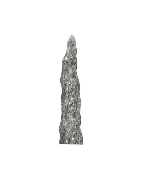 50cm Dalmata Lucida Monolithe pointu